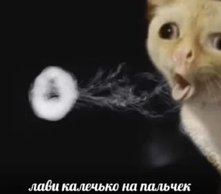 ❤️ idi.naxyi, стікер Telegram 9 з 41