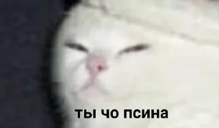 🧐 idi.naxyi, стікер Telegram 7 з 41
