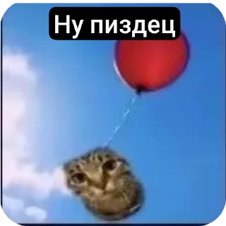 🌌 Понятно, sticker Telegram 5 sur 27