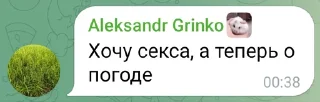 😻 Чат МК, Telegram sticker 11 of 11