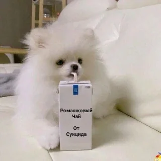 🌟 МК любимый, стікер Telegram 20 з 120