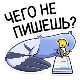 😡 Голубь Михаил • @stickers_vk, стікер Telegram 10 з 48