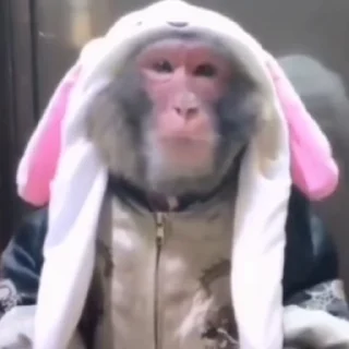 🥺 мощные стикеры, стикер Telegram 22 из 120