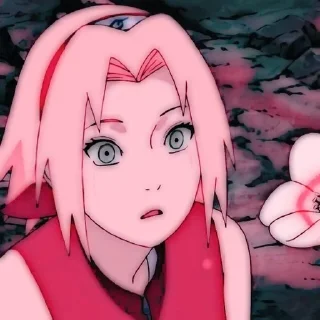 •Sakura•