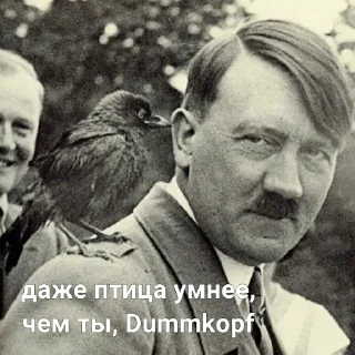 😐 фюрер и немцы, sticker Telegram 9 sur 100
