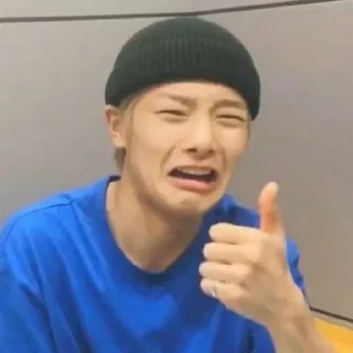 👍 skzmeme✍🏻, sticker Telegram 16 sur 45