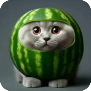 🍉 Лучший пак @TgEmodziBot, Telegram sticker 5 of 39