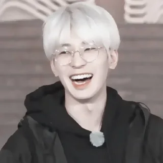 🎂 wonwoo : hb2u ! fr @lomicor 🎂, sticker Telegram 9 sur 70