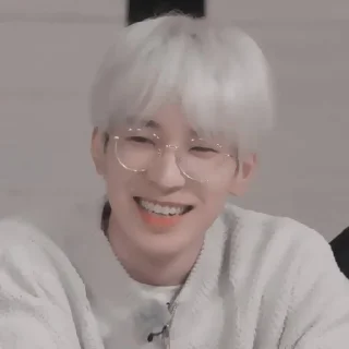 🎂 wonwoo : hb2u ! fr @lomicor 🎂, sticker Telegram 6 sur 70