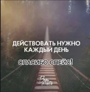 🌟 СПАСИБО СПЕЙСУ, стікер Telegram 9 з 22