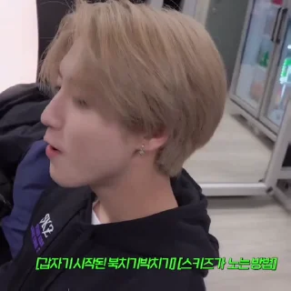 🐿 JISUNG @stikhoss, стікер Telegram 11 з 35