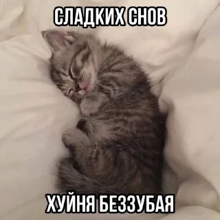 🌸 Тычмоня<33 2.0, sticker Telegram 16 sur 83