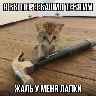 🌸 Тычмоня<33 2.0, sticker Telegram 7 sur 83