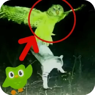 🧸 Геннадий, sticker Telegram 20 sur 39