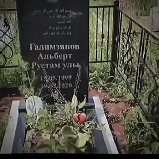 😺 Альберт Кабуу, стікер Telegram 7 з 12