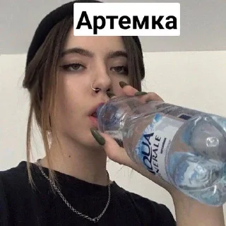 Котята чат