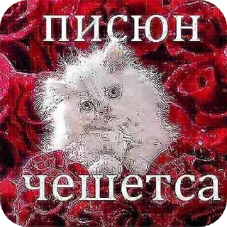 🖼 писюн, Telegram sticker 14 of 44