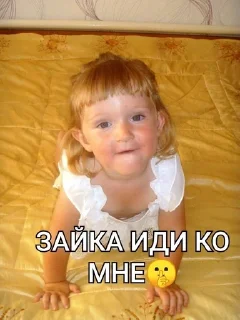 Побег за водкой