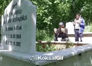 @KoksalGif 🤬