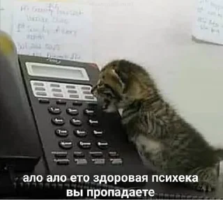 😩 жужа, стікер Telegram 7 з 54
