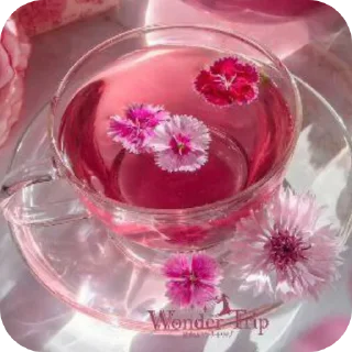 🫖 Лишу @naska_monaska, sticker Telegram 18 sur 70