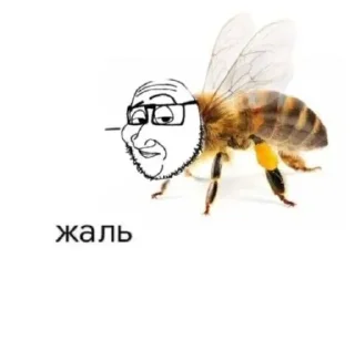 🐝 Смысл Жизни | Часть 1, стикер Telegram 12 из 112