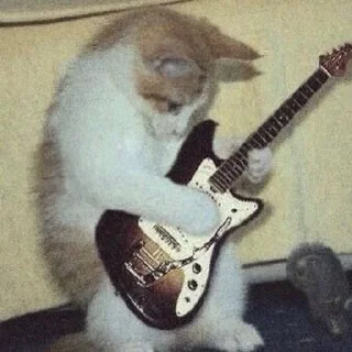 🎸 Ⴝተ𐌳𐍂᱙𐌉𐍂𑀉 ଓ𐍅 @hdmisanthrope, стікер Telegram 7 з 50