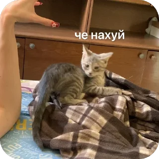 🫥 твоя моя не понимать, стикер Telegram 9 из 79