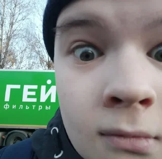 Hohol kussia