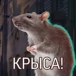 ❤️ Чатовые стикеры @RomanceClubFan, sticker Telegram 13 sur 30