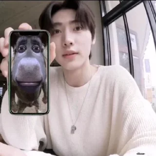🙈 Park Sunghoon, стікер Telegram 22 з 40