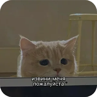 🐱 река:: @LoonyStik, Telegram sticker 20 of 48