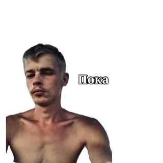 💪 Вовка небритая машонка, sticker Telegram 20 sur 29