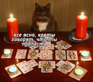 🌟 мы тарологи 💗 @sencli_tarot, Telegram sticker 9 of 16