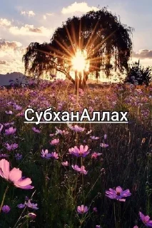 🌟 МЕМ стикеры, стікер Telegram 10 з 36