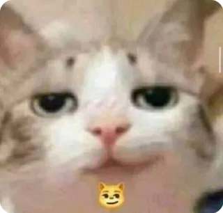 🌟 кт, стікер Telegram 18 з 36