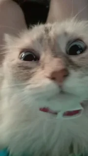 я гуль