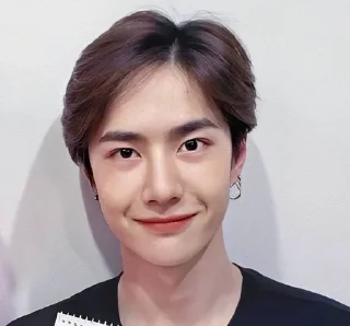 🦁 Wang Yibo, sticker Telegram 14 sur 51