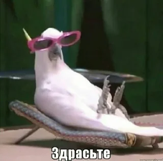 👋 хуйня.., стикер Telegram 20 из 45