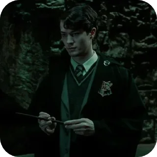 👍 Tom Marvolo Riddle, Telegram sticker 19 of 28