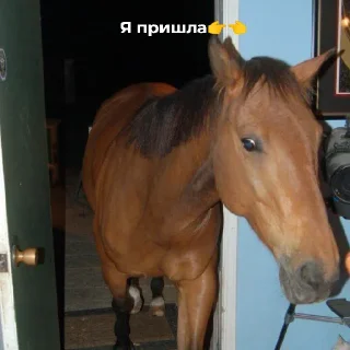 😄 Жизненно, Telegram sticker 7 of 7