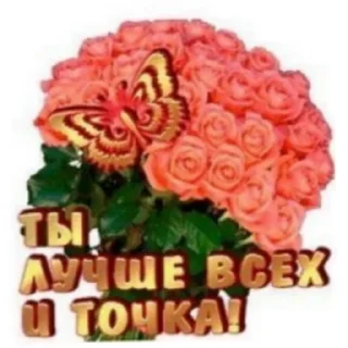 миленькие стикеры🥺🥺