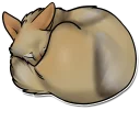 😴 emoji Majestic Coyote Telegram sticker 15 of 21