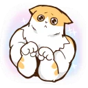 😢 emoji Chiffon the Cat (International) Telegram sticker 21 of 40
