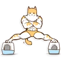 💪 emoji Chiffon the Cat (International) Telegram sticker 6 of 40