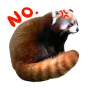 😡 emoji Red Panda Telegram sticker 23 of 23