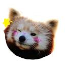 😉 emoji Red Panda Telegram sticker 14 of 23