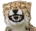 😁 emoji CheeStix 5000 Telegram sticker 2 of 79