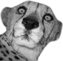 😱 emoji CheeStix 5000 Telegram sticker 18 of 79