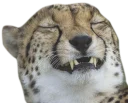 😁 emoji CheeStix 5000 Telegram sticker 5 of 79